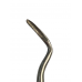 Apical