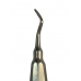 Apical