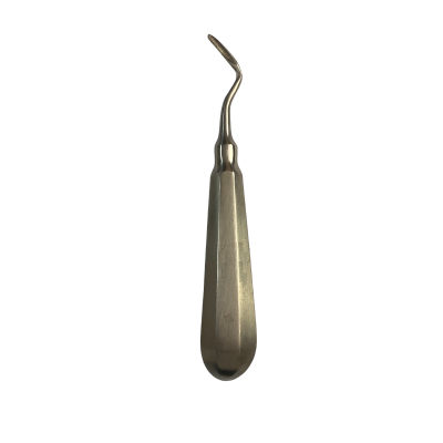 Apical